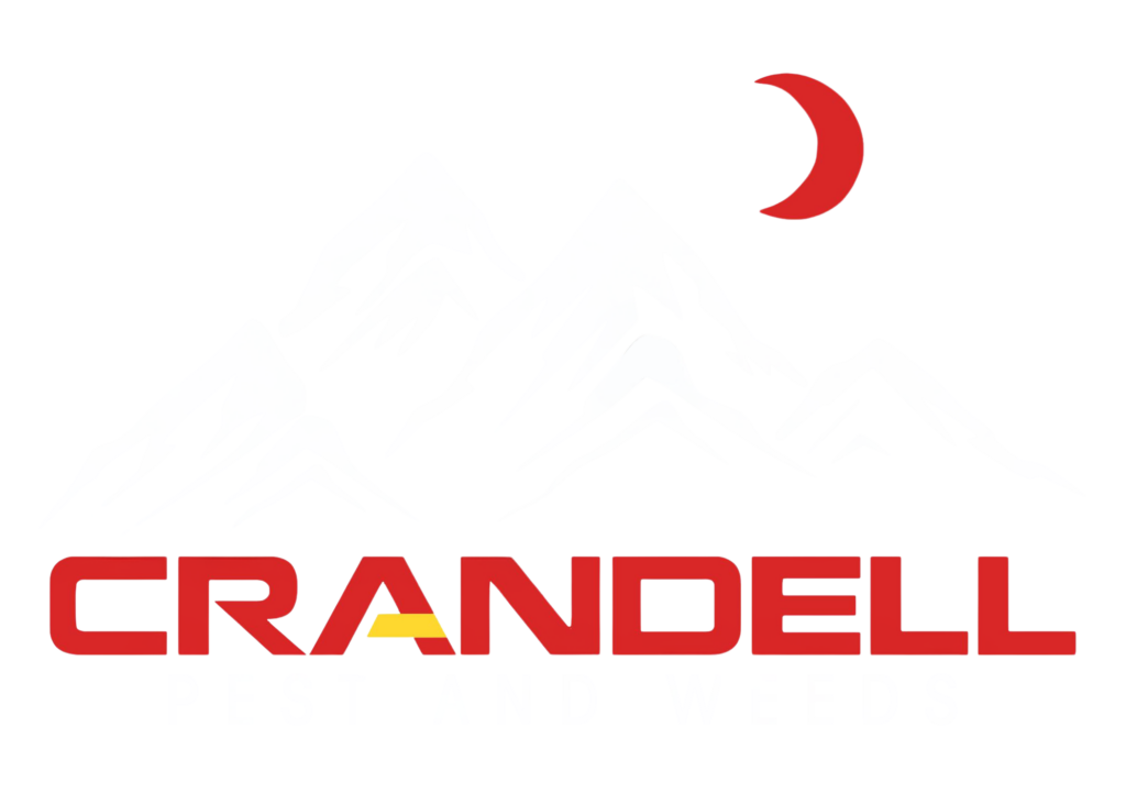 white Crandall NORTH Logo- new white mountains logo