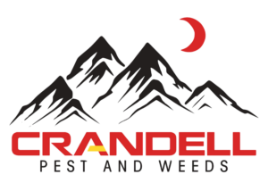 Crandall NORTH Logo- new white mountains logo